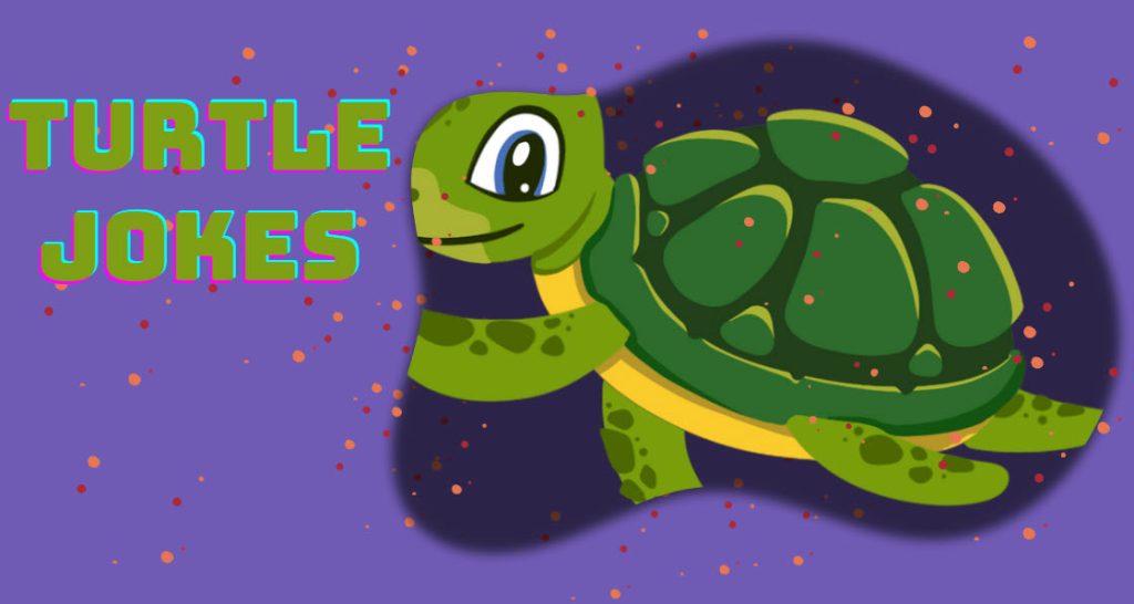 Best Turtle jokes