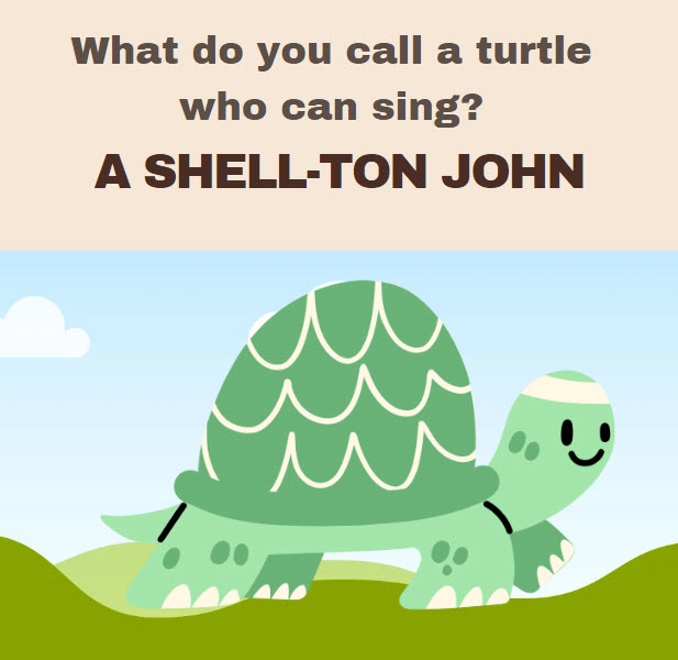 A shell-ton John - funny