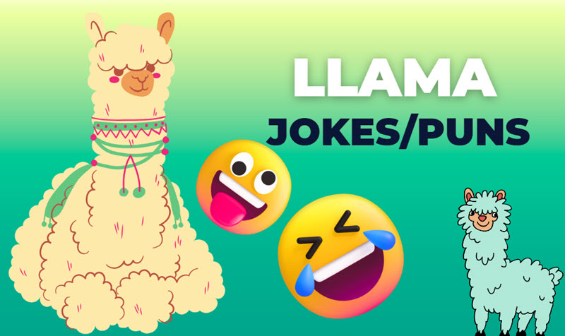Llama Jokes